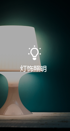 管家婆软件灯饰照明