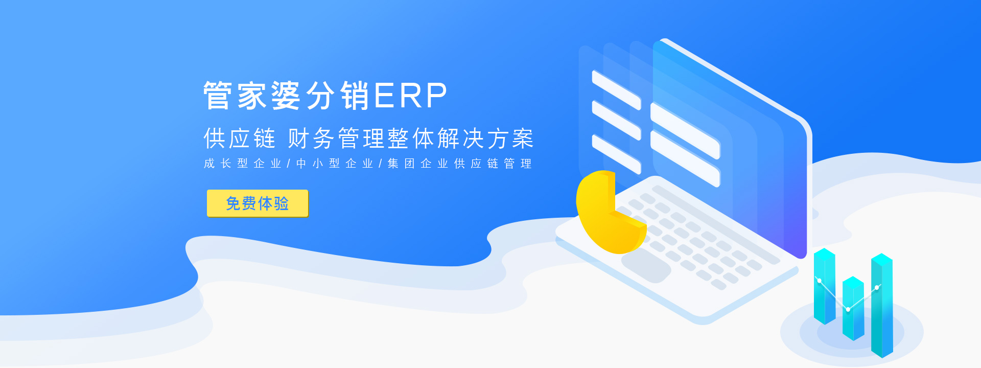 管家婆分销ERP